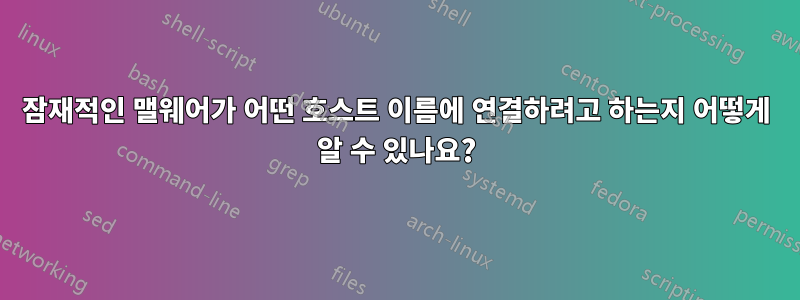 잠재적인 맬웨어가 어떤 호스트 이름에 연결하려고 하는지 어떻게 알 수 있나요?