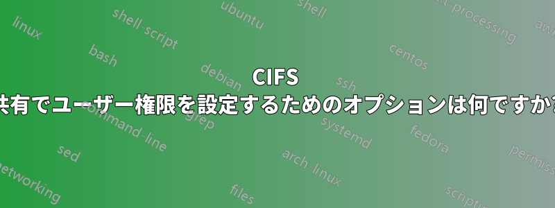 CIFS 共有でユーザー権限を設定するためのオプションは何ですか?