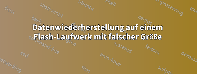 Datenwiederherstellung auf einem Flash-Laufwerk mit falscher Größe