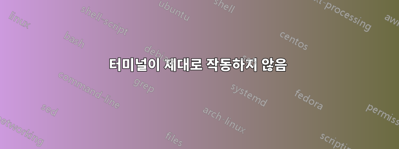 터미널이 제대로 작동하지 않음