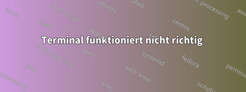 Terminal funktioniert nicht richtig