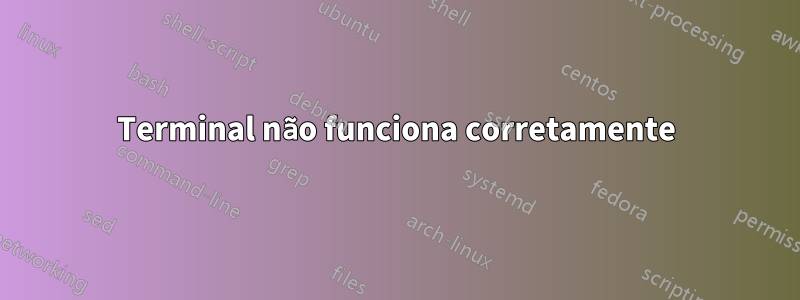 Terminal não funciona corretamente