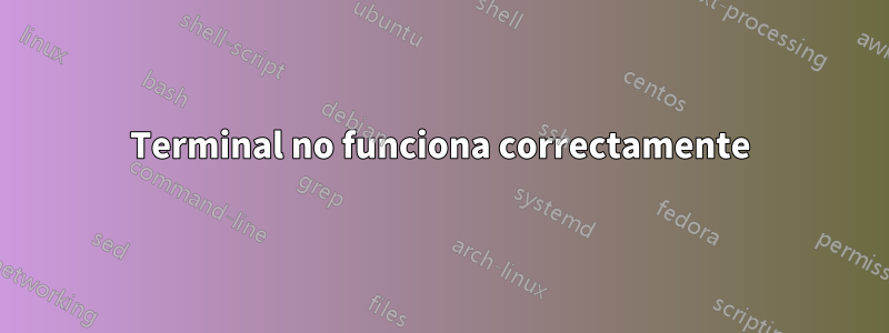 Terminal no funciona correctamente