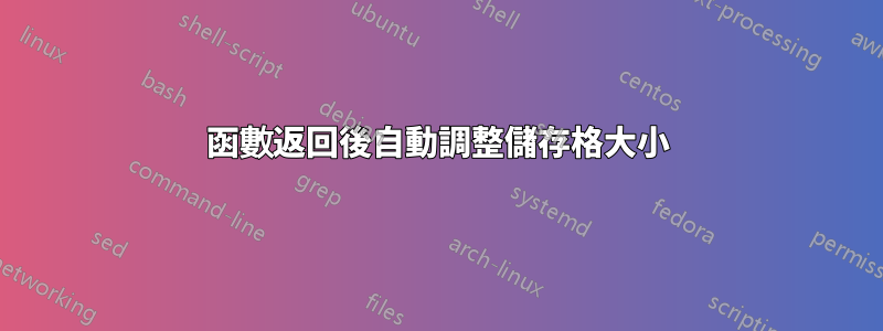 函數返回後自動調整儲存格大小