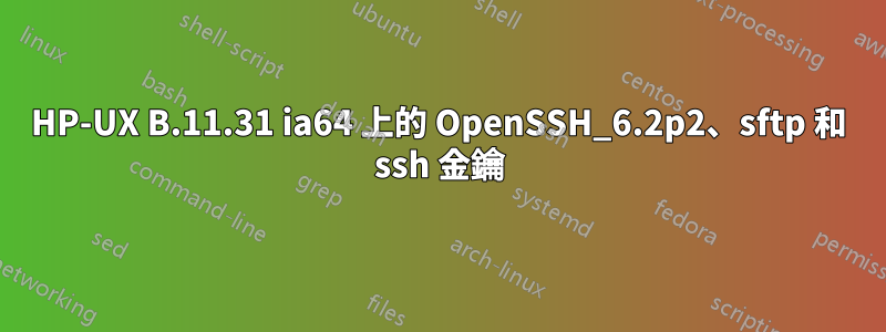 HP-UX B.11.31 ia64 上的 OpenSSH_6.2p2、sftp 和 ssh 金鑰