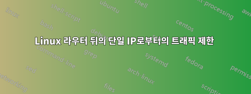 Linux 라우터 뒤의 단일 IP로부터의 트래픽 제한