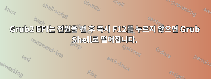 Grub2 EFI는 전원을 켠 후 즉시 F12를 누르지 않으면 Grub Shell로 떨어집니다.