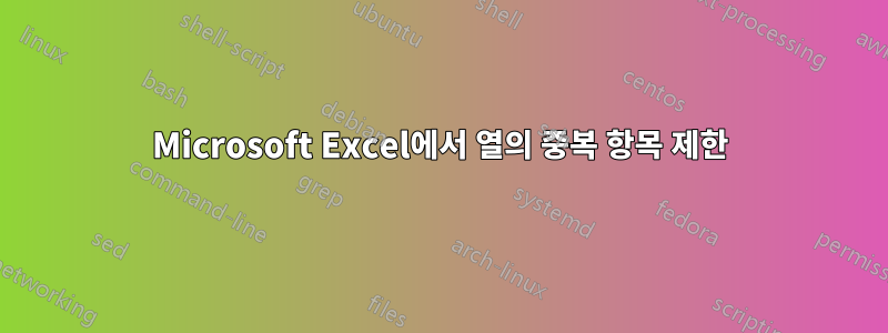 Microsoft Excel에서 열의 중복 항목 제한