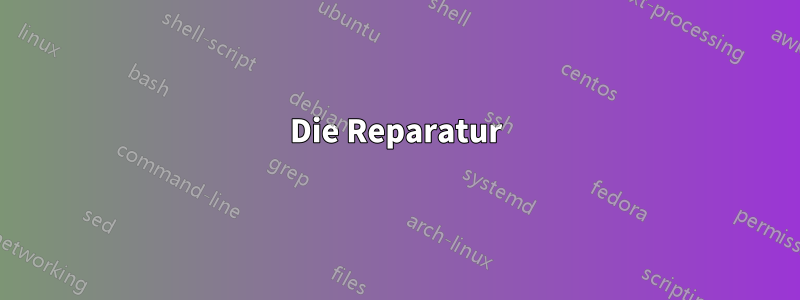 Die Reparatur