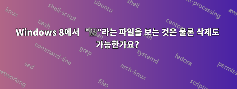 Windows 8에서 "␀"라는 파일을 보는 것은 물론 삭제도 가능한가요?