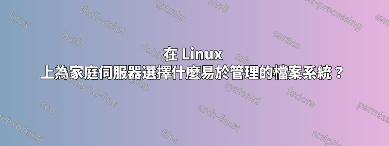 在 Linux 上為家庭伺服器選擇什麼易於管理的檔案系統？