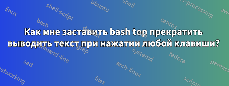 Как мне заставить bash top прекратить выводить текст при нажатии любой клавиши?