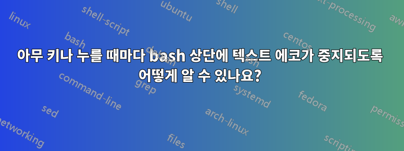 아무 키나 누를 때마다 bash 상단에 텍스트 에코가 중지되도록 어떻게 알 수 있나요?