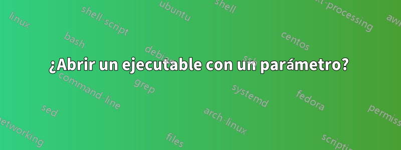 ¿Abrir un ejecutable con un parámetro?