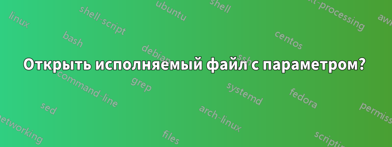 Открыть исполняемый файл с параметром?