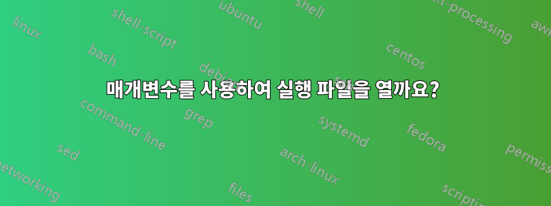 매개변수를 사용하여 실행 파일을 열까요?