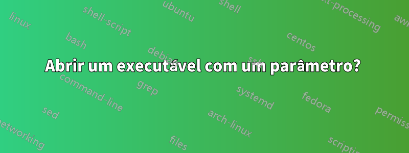 Abrir um executável com um parâmetro?