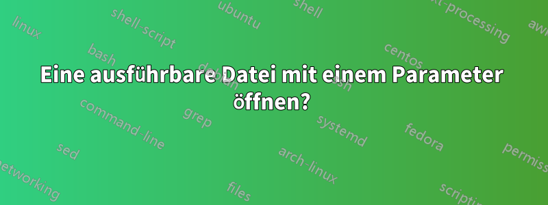 Eine ausführbare Datei mit einem Parameter öffnen?