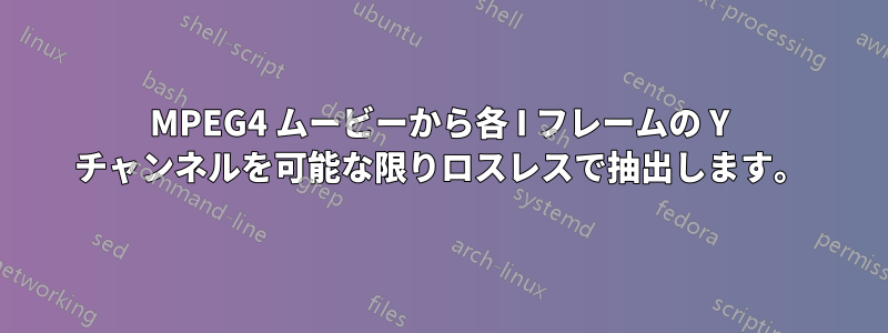 MPEG4 ムービーから各 I フレームの Y チャンネルを可能な限りロスレスで抽出します。