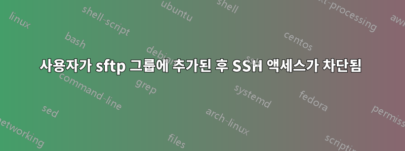 사용자가 sftp 그룹에 추가된 후 SSH 액세스가 차단됨