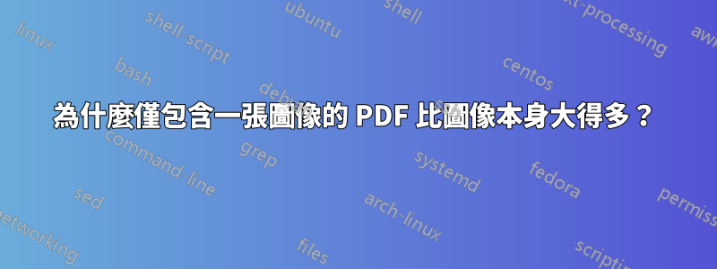 為什麼僅包含一張圖像的 PDF 比圖像本身大得多？