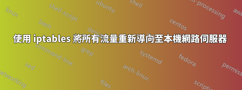 使用 iptables 將所有流量重新導向至本機網路伺服器