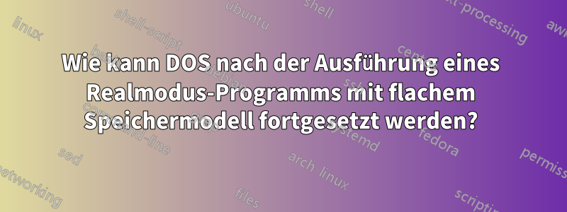 Wie kann DOS nach der Ausführung eines Realmodus-Programms mit flachem Speichermodell fortgesetzt werden?