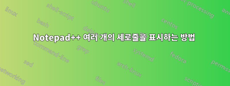 Notepad++ 여러 개의 세로줄을 표시하는 방법