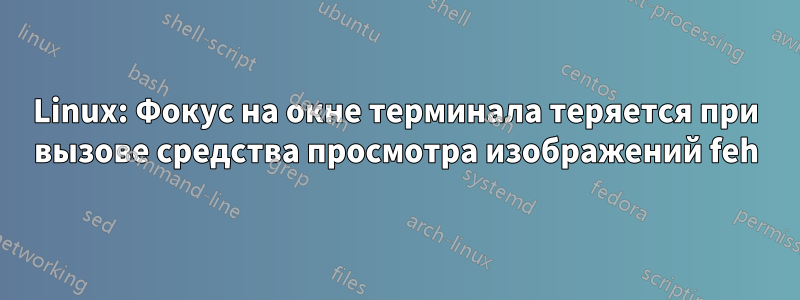 Linux: Фокус на окне терминала теряется при вызове средства просмотра изображений feh