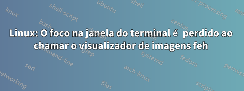 Linux: O foco na janela do terminal é perdido ao chamar o visualizador de imagens feh