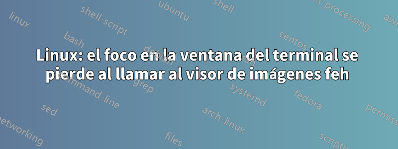 Linux: el foco en la ventana del terminal se pierde al llamar al visor de imágenes feh