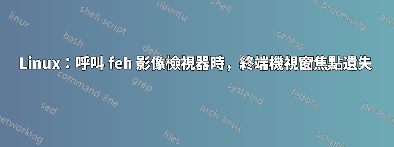 Linux：呼叫 feh 影像檢視器時，終端機視窗焦點遺失