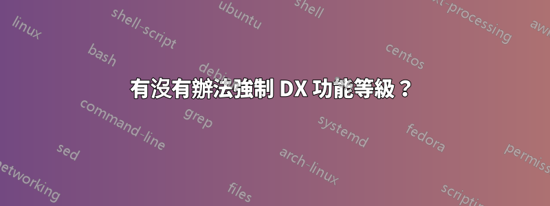 有沒有辦法強制 DX 功能等級？