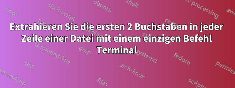 Extrahieren Sie die ersten 2 Buchstaben in jeder Zeile einer Datei mit einem einzigen Befehl Terminal