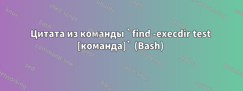 Цитата из команды `find -execdir test [команда]` (Bash)