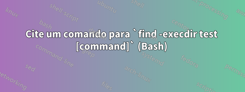 Cite um comando para `find -execdir test [command]` (Bash)