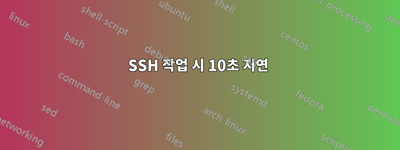 SSH 작업 시 10초 지연