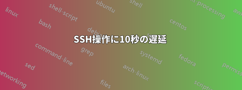 SSH操作に10秒の遅延