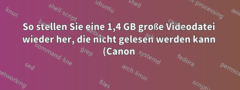 So stellen Sie eine 1,4 GB große Videodatei wieder her, die nicht gelesen werden kann (Canon)
