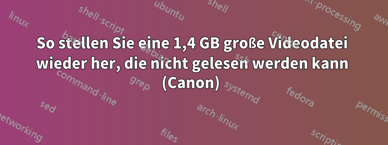 So stellen Sie eine 1,4 GB große Videodatei wieder her, die nicht gelesen werden kann (Canon) 