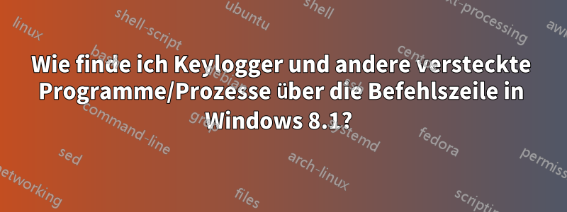 Wie finde ich Keylogger und andere versteckte Programme/Prozesse über die Befehlszeile in Windows 8.1? 