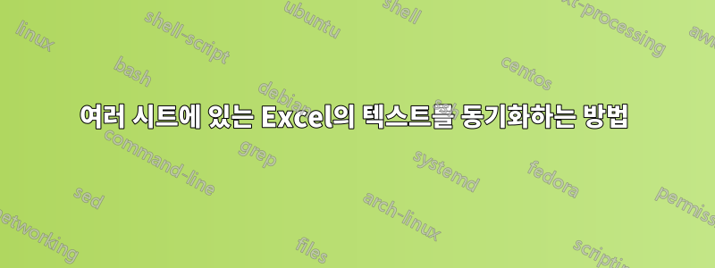 여러 시트에 있는 Excel의 텍스트를 동기화하는 방법