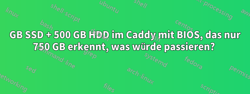 500 GB SSD + 500 GB HDD im Caddy mit BIOS, das nur 750 GB erkennt, was würde passieren?