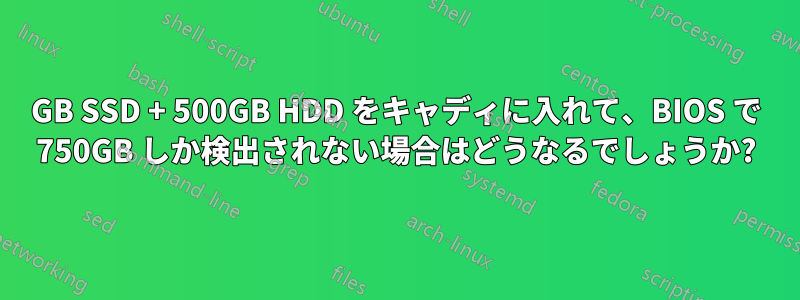 500GB SSD + 500GB HDD をキャディに入れて、BIOS で 750GB しか検出されない場合はどうなるでしょうか?