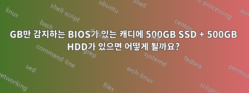 750GB만 감지하는 BIOS가 있는 캐디에 500GB SSD + 500GB HDD가 있으면 어떻게 될까요?