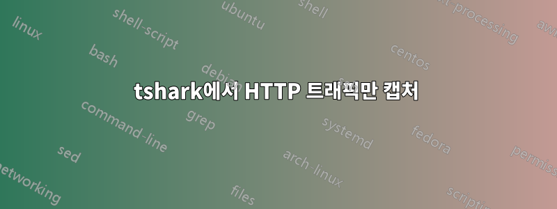 tshark에서 HTTP 트래픽만 캡처