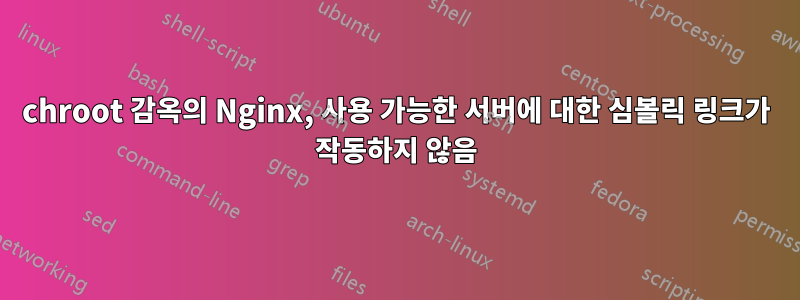 chroot 감옥의 Nginx, 사용 가능한 서버에 대한 심볼릭 링크가 작동하지 않음