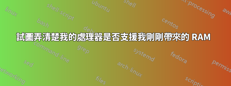 試圖弄清楚我的處理器是否支援我剛剛帶來的 RAM 