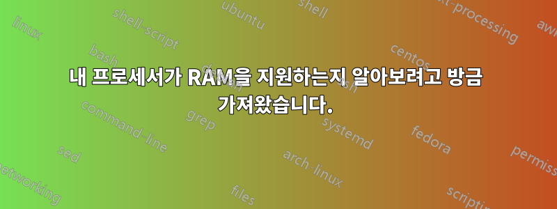 내 프로세서가 RAM을 지원하는지 알아보려고 방금 가져왔습니다.