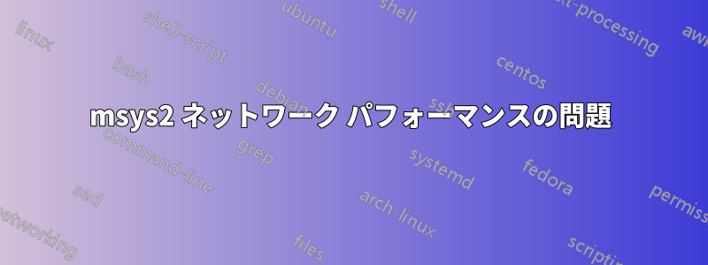 msys2 ネットワーク パフォーマンスの問題